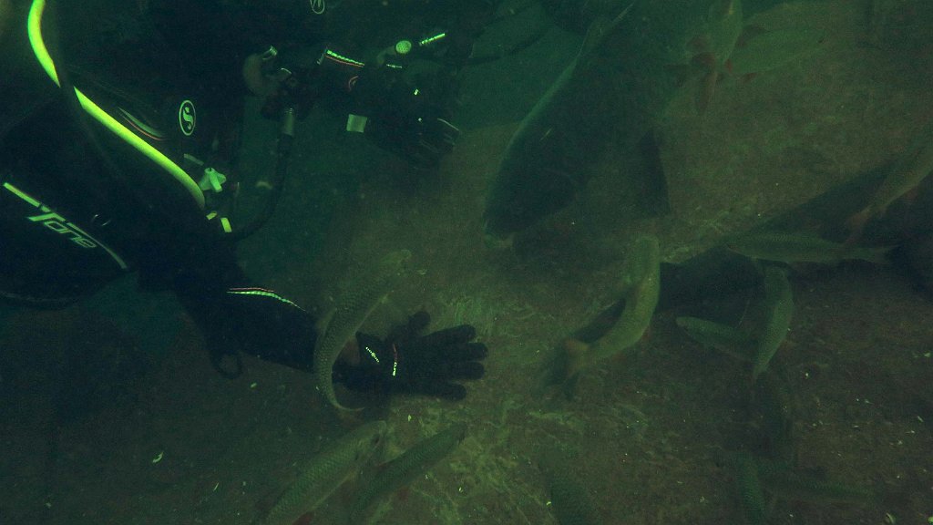 210724_La Gombe_56b.jpg